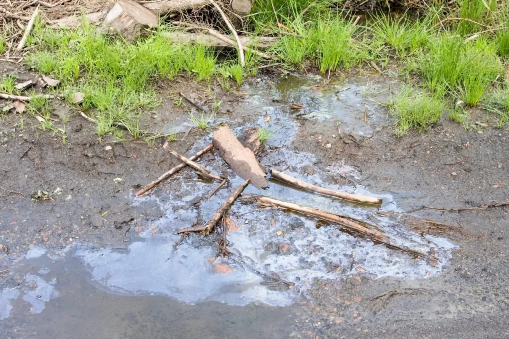 Ölverunreinigung im Erdreich am Gewässerrand